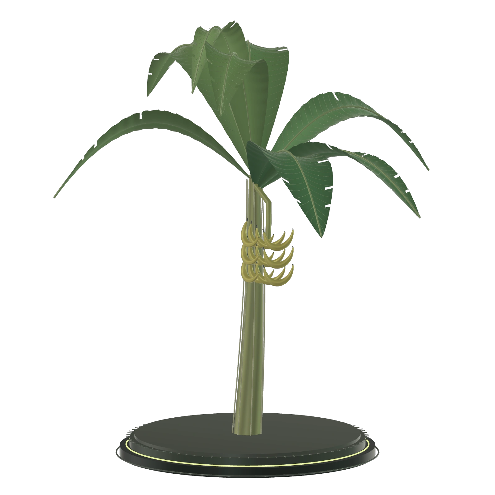 Studio-rendered banana tree with broad emerald leaves, golden fruit, and a dark machined pedestal